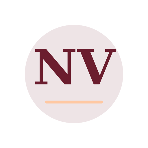 North View Air Duct Services logo
